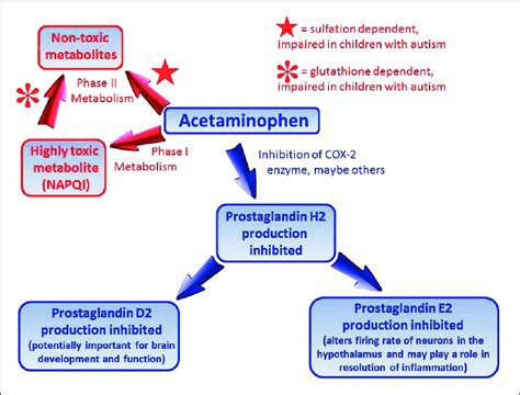 acetaminophen mechanism of action